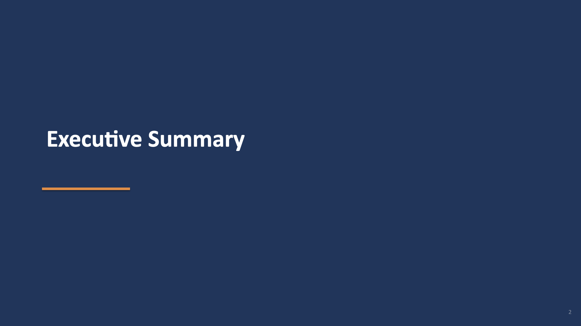 Slide 2: Executive Summary